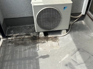 現況